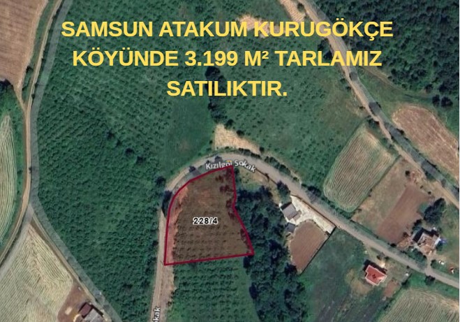 SAMSUN ATAKUM KURUGÖKÇE KÖYÜNDE 3.199 M² TARLAMIZ SATILIKTIR. - SAMSUN ATAKUM fotoğraf 2